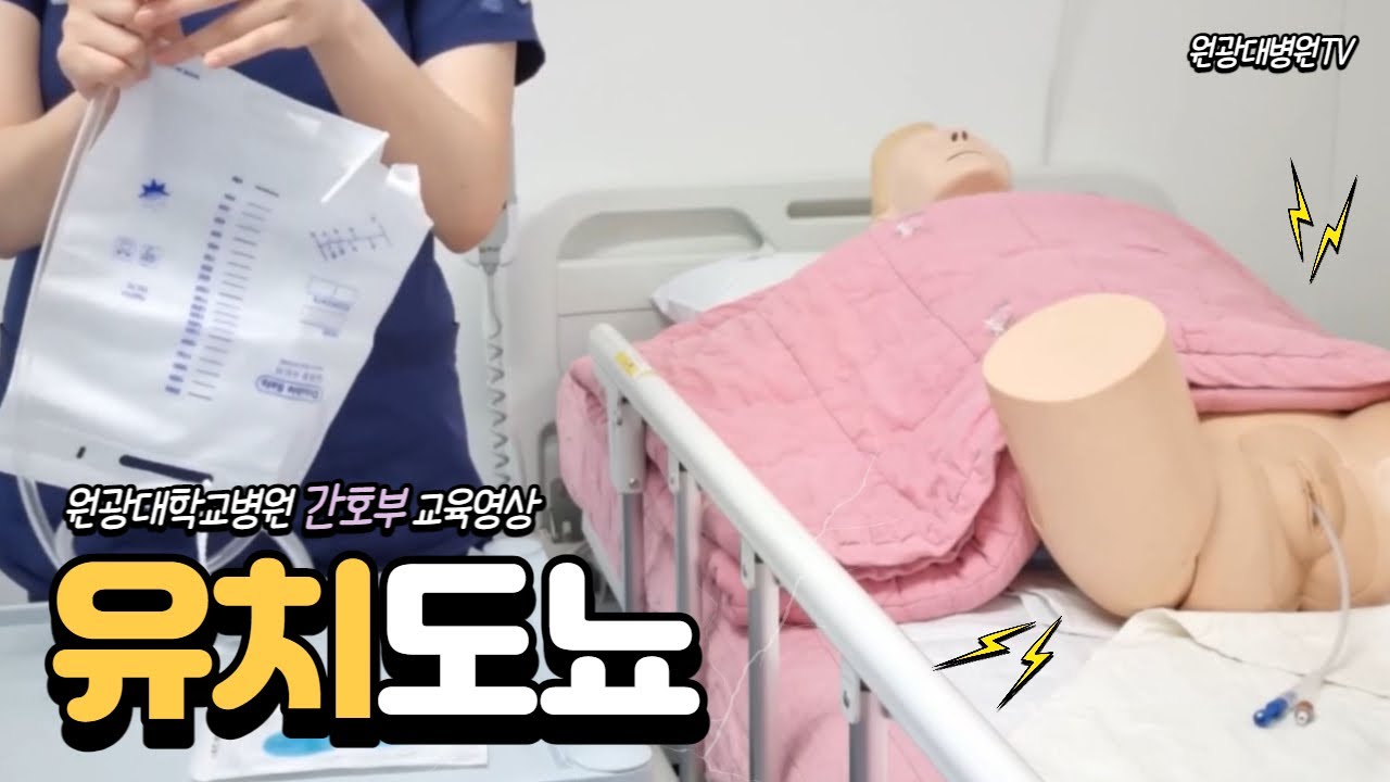 핵심술기술 4편 유치도뇨