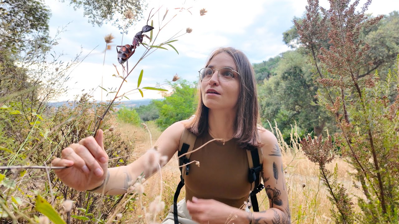 Le monde à genoux – Histoires de fourmis et d'araignées