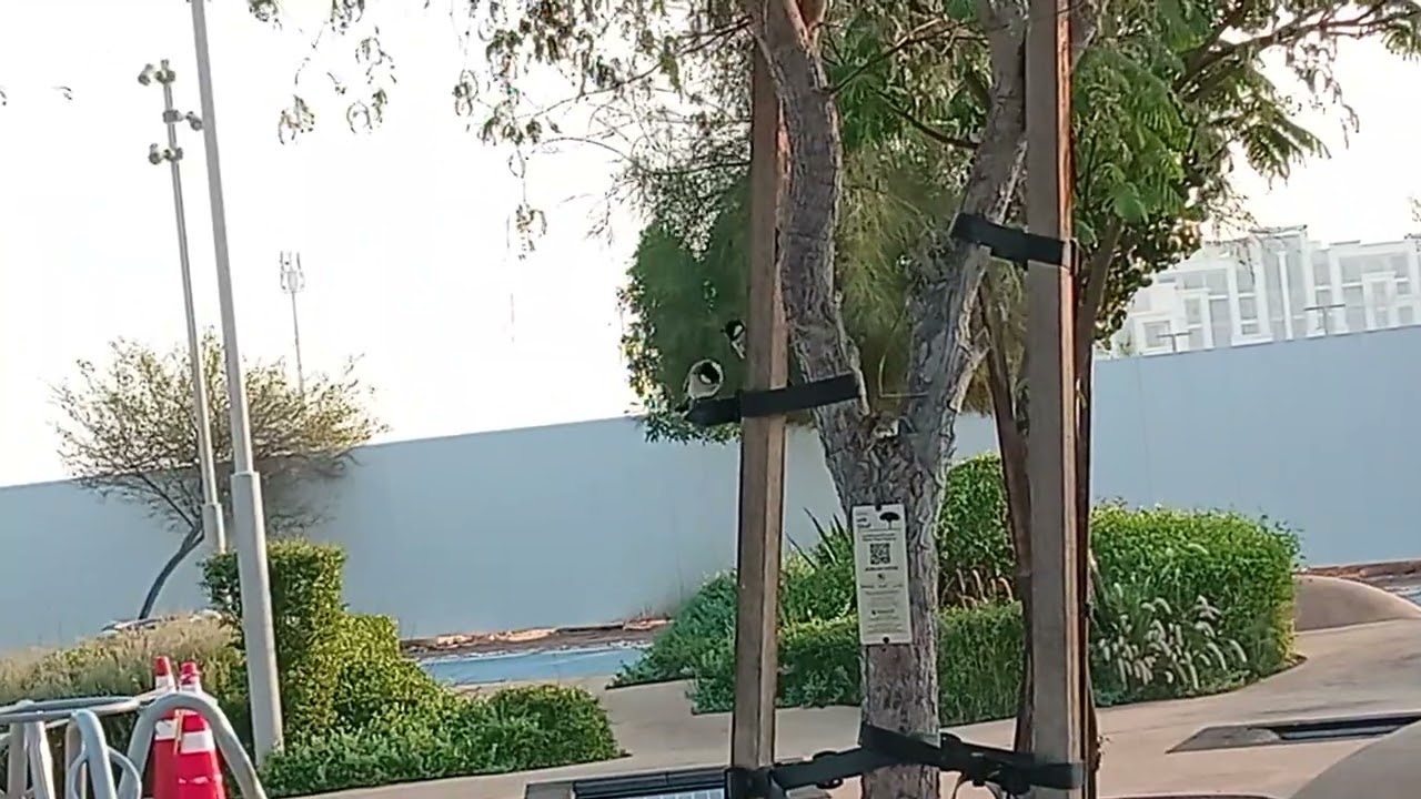 very beautiful  place#thanksforwatching 