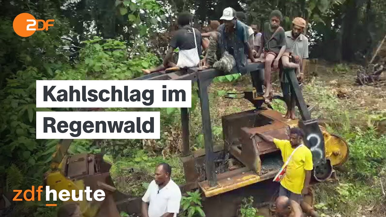 Papua-Neuguinea: Abholzung für Palmölplantagen