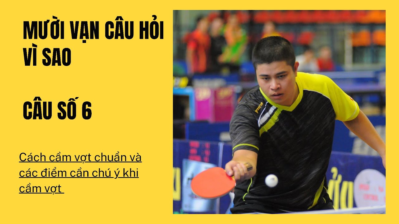 Số 6: Cách cầm vợt chuẩn và những điểm cần chú ý khi cầm vợt. | 10 vạn câu hỏi vì sao