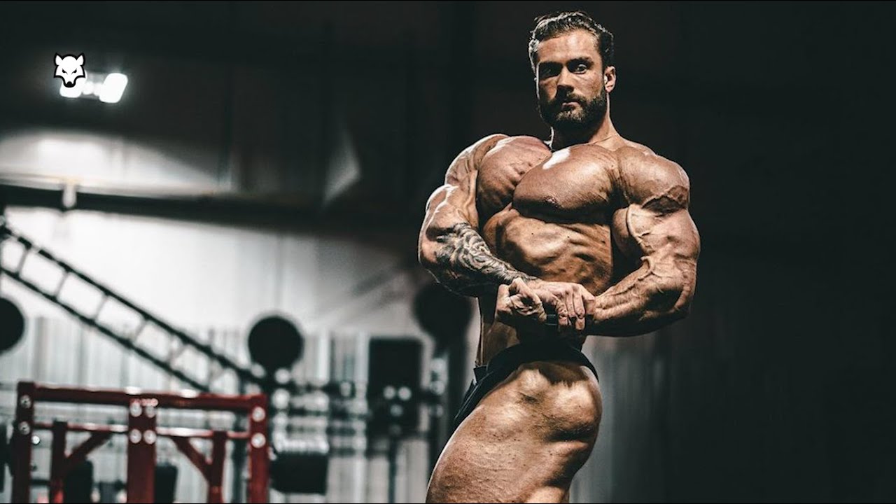 BAD WOLF 🐺 - Chris Bumstead
