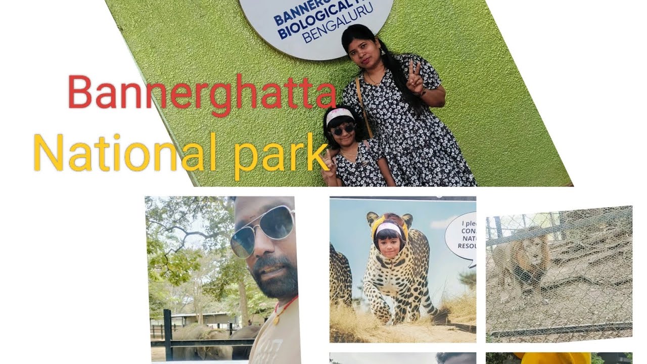 ಯಾರು ಹೇಳಿದ್ದು ನ್ಯಾಷನಲ್ ಪಾರ್ಕ್ ಅಲಿ  ಅನಿಮಲ್ಸ್ ಇಲ್ಲ ಅಂತ ...#kannada #vlog #animals #banglore  #family 
