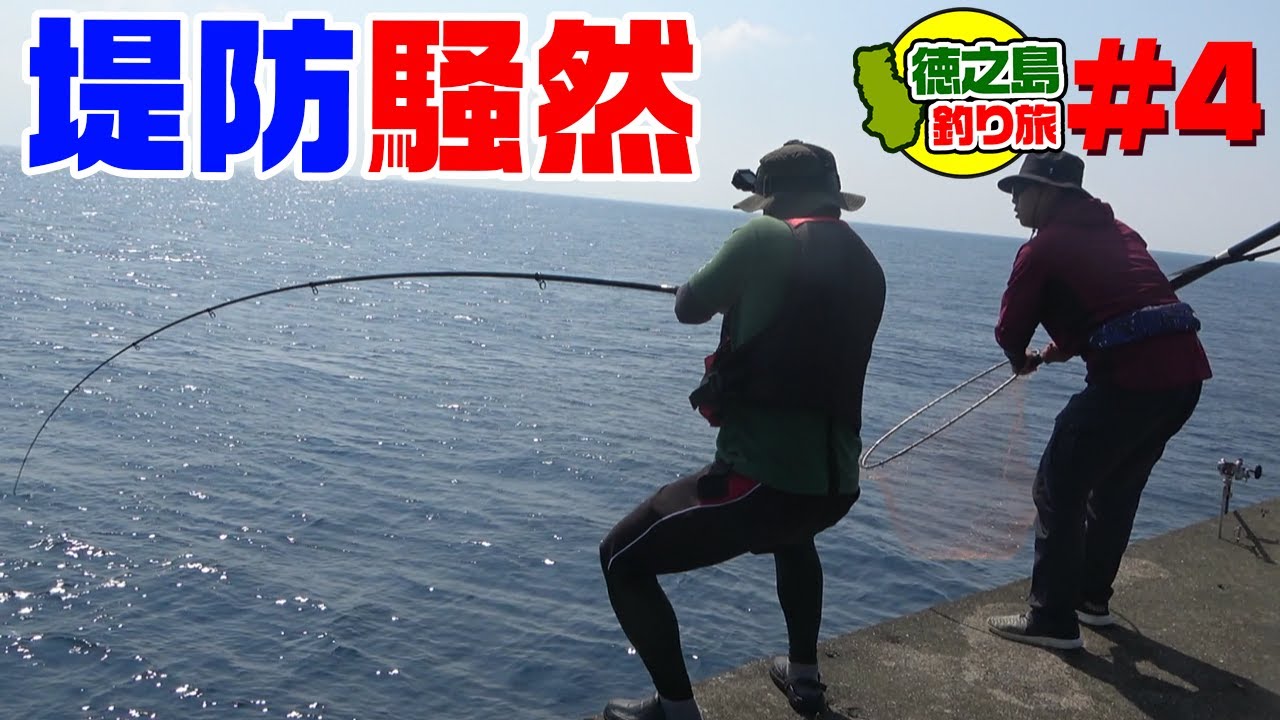 徳之島の堤防でパニックに！島民憧れの超高級魚現る！【徳之島編#4】