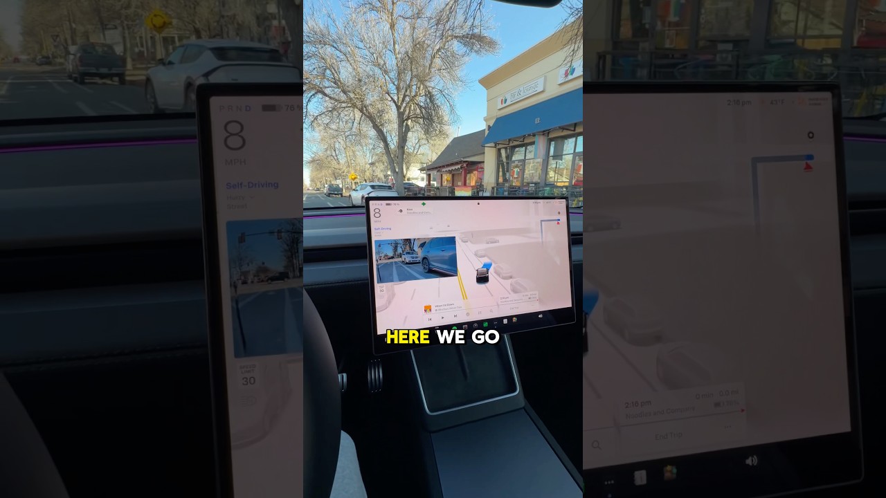 Full Self Driving Parked Itself on the STREET 😳👀