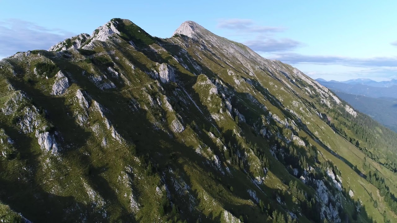 Prelepa zelena Begunjščica