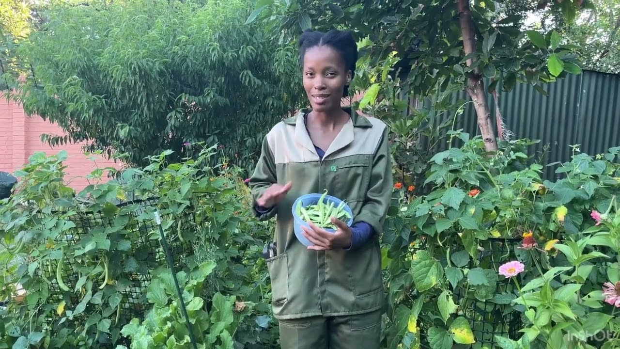 Massive Summer Harvest From a Small Garden! | Small Garden, BIG Harvest! 🌱