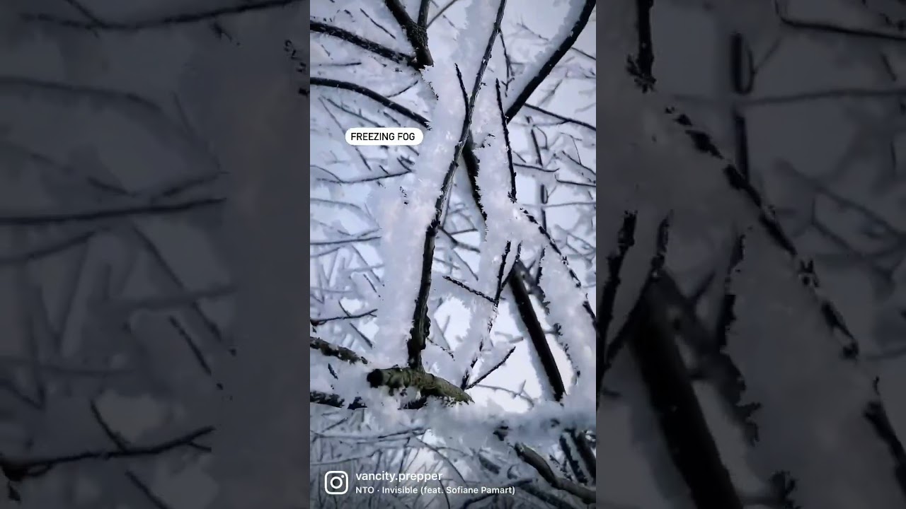 FREEZING FOG 🥶