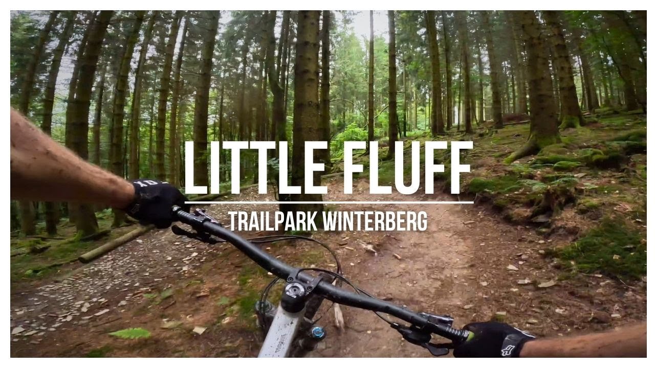 Trailpark Winterberg - Little Fluff | MTB Trail Preview [Full HD]