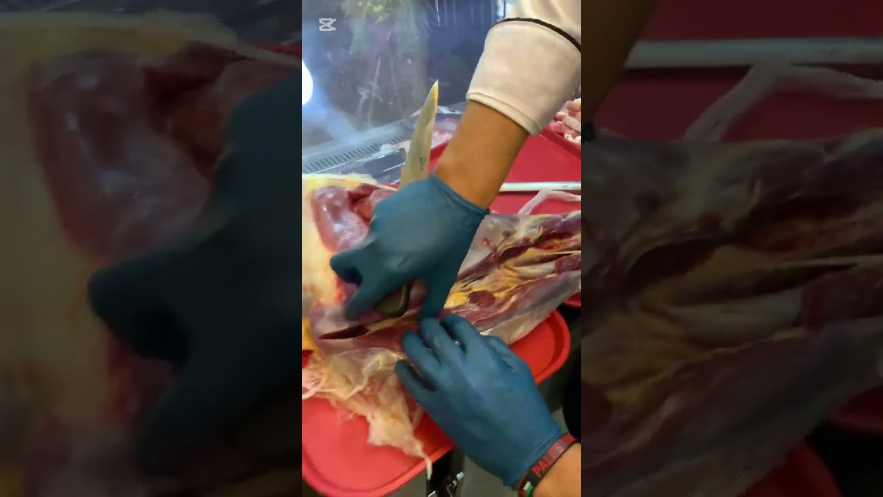 طريقة شرح الحوم النعام والمصناعات من الشيف خضر محمود 