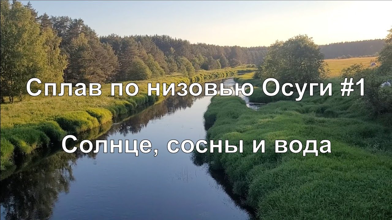 Сплав по низовью Осуги #1. Солнце, сосны и вода