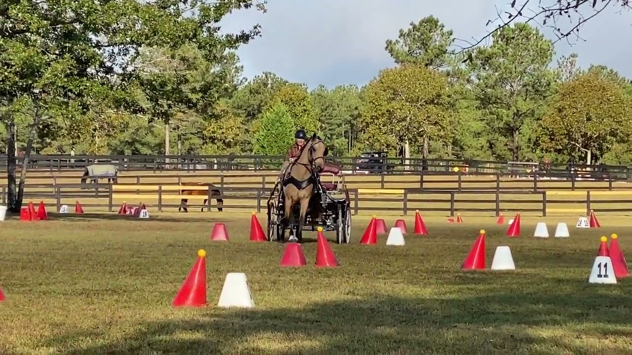 Tristan @ Windsor Trace CDE CT, 10/30/25 - Cones