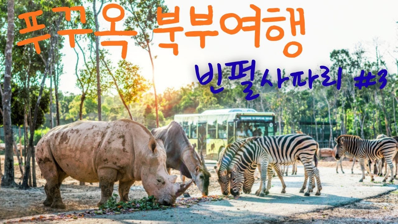 푸꾸옥 빈펄 사파리#3  Vinpearl Safari Phu Quoc (사파리투어버스 탑승기)