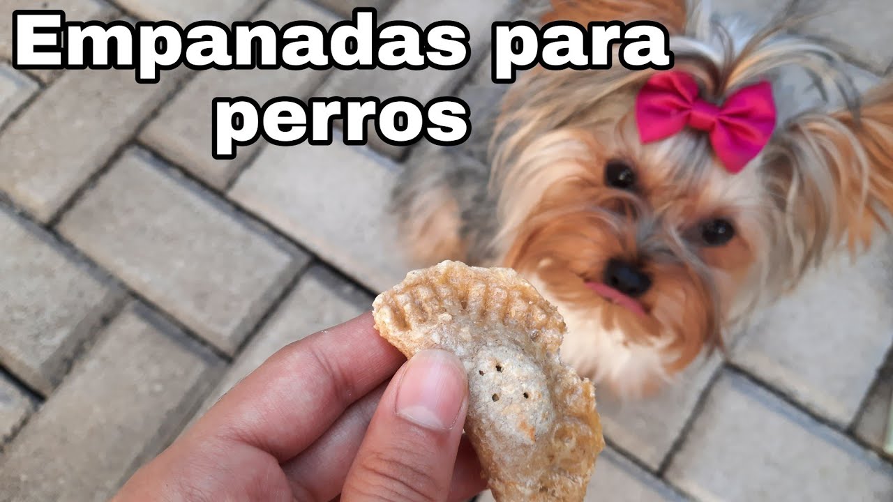 Empanadas para perritos |Guau Olive|♡