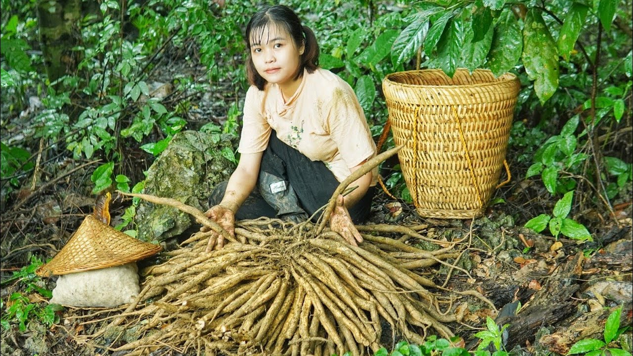 ПОЛНОЕ ВИДЕО: Как собирать Stemona tuberosa и диких улиток, готовить и продавать на рынке