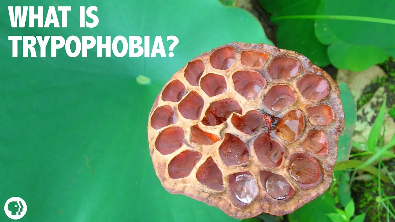Trypophobia! Boogers! Disgust! A Gross Science Q&A