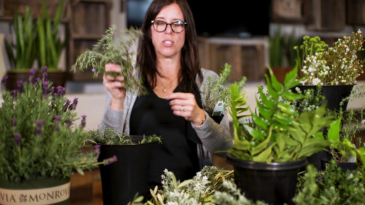 How To Make A Fresh Spring Wreath