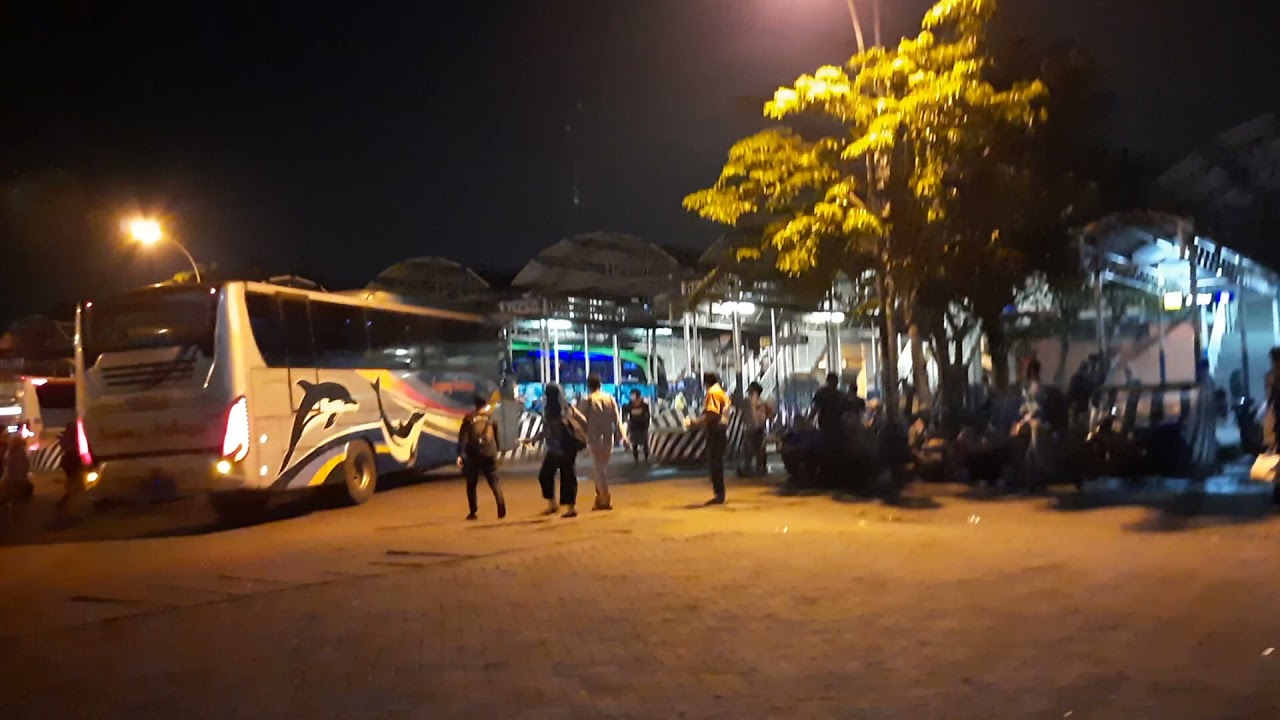 REBUTAN BIS SUGENG RAHAYU SBY - JOGJA || AC ekonomi
