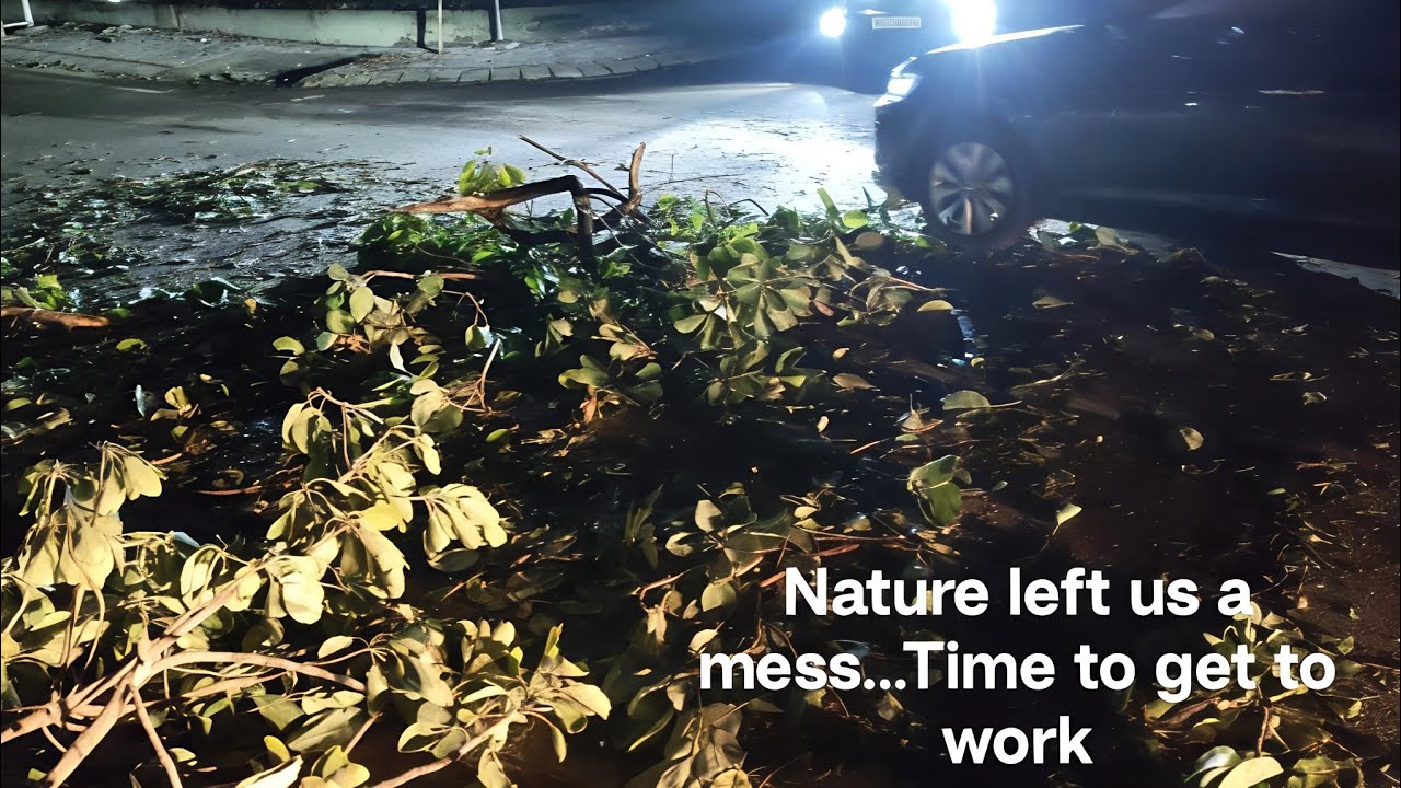 Nature left us a mess...Time to get to work.