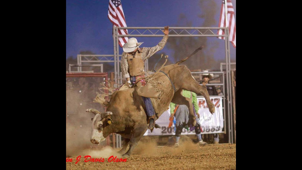 Sterling Ward - Bull Riding Reel