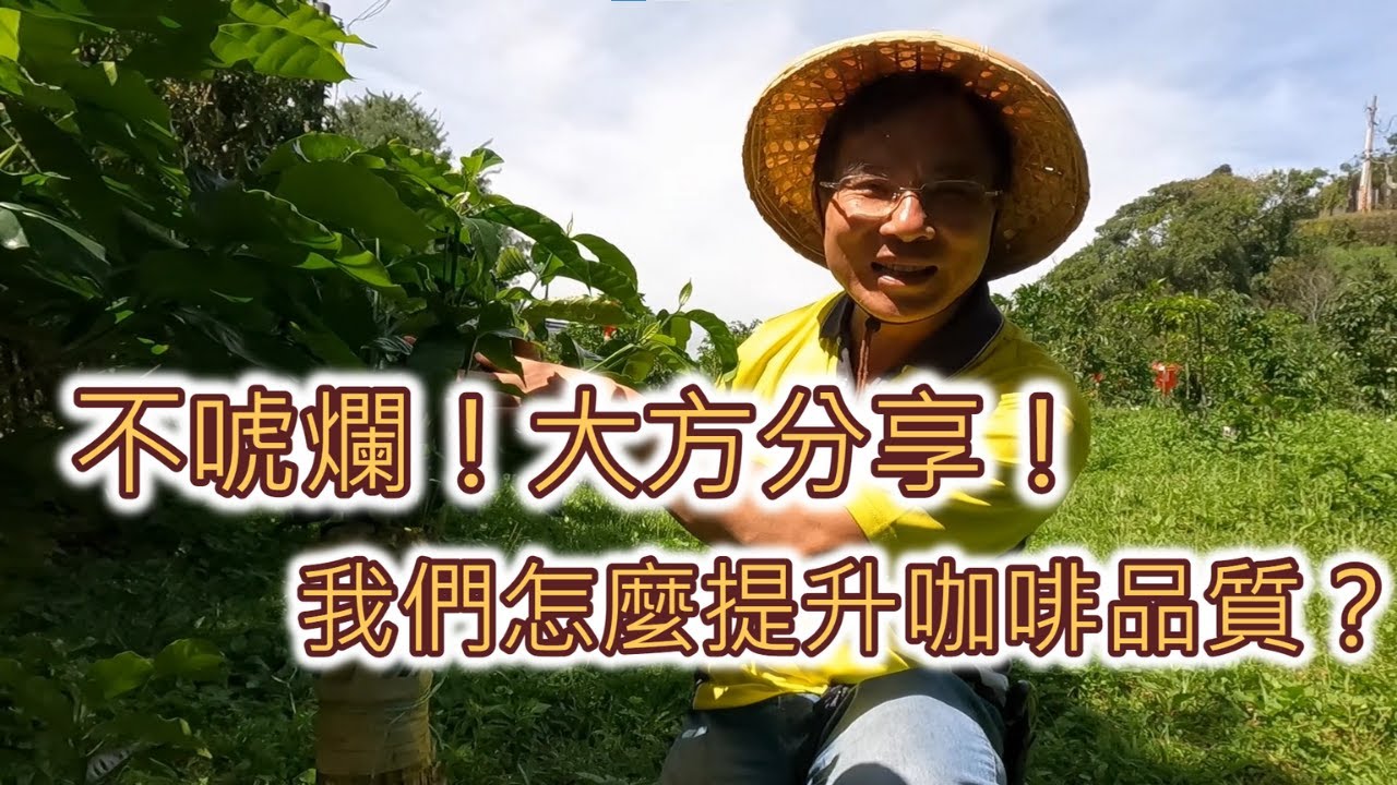 咖啡小農要如何提升咖啡品質呢？來看看我們怎麼更新品種吧！【cc字幕】