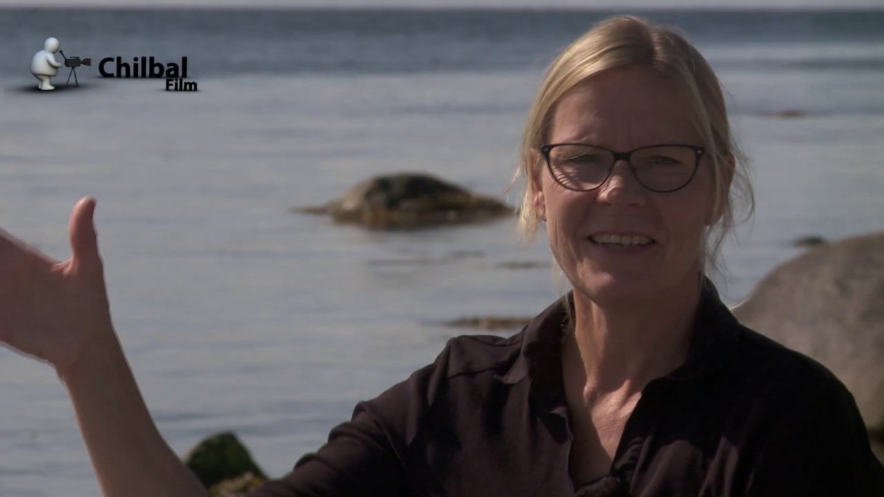 Dykning i Limfjorden