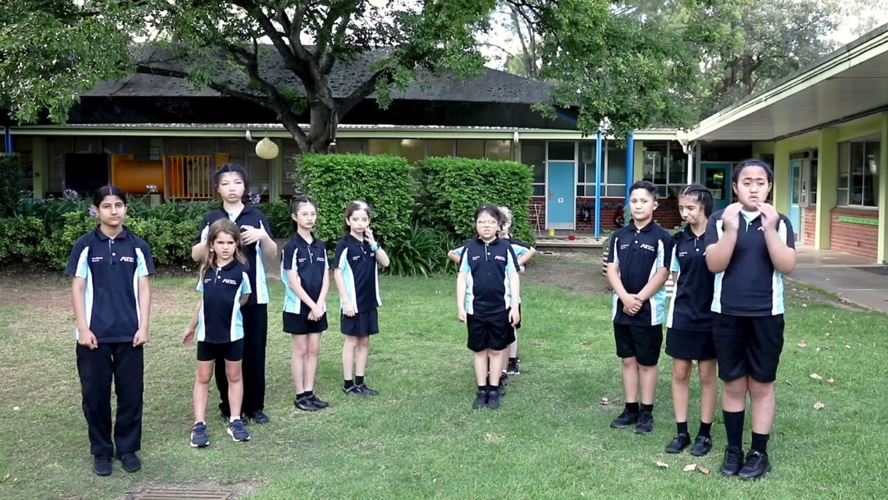 12 days of Christmas Auslan performance (Australian Sign Language)
