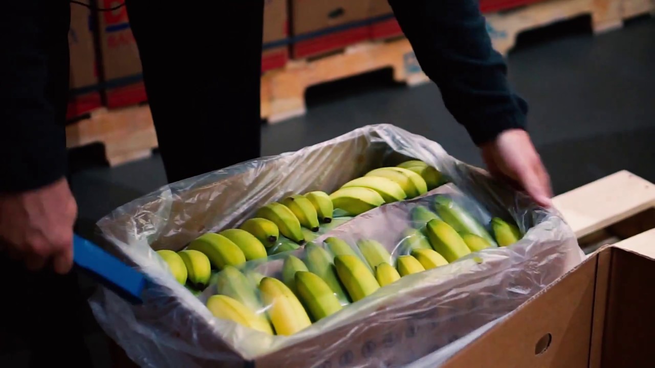 Merchandiser Training Corner // Bananas