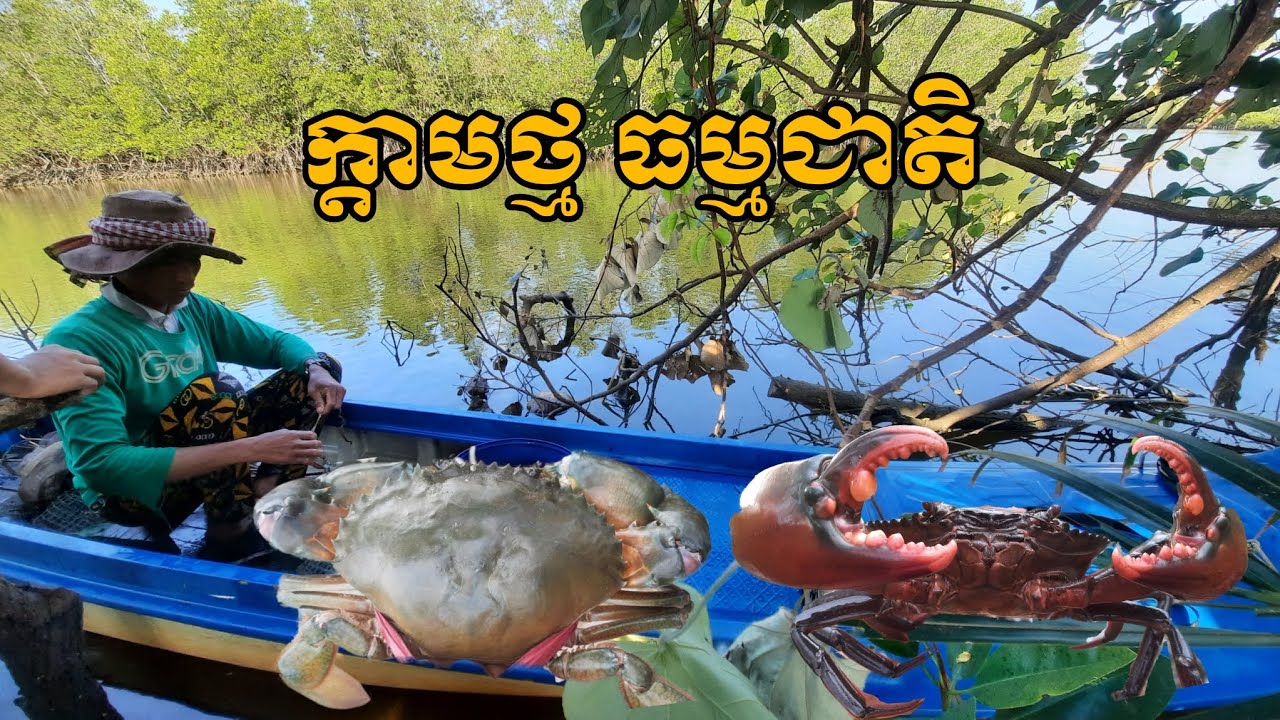 ក្តាមថ្មធម្មជាតិ របស់អ្នកនេសាទ