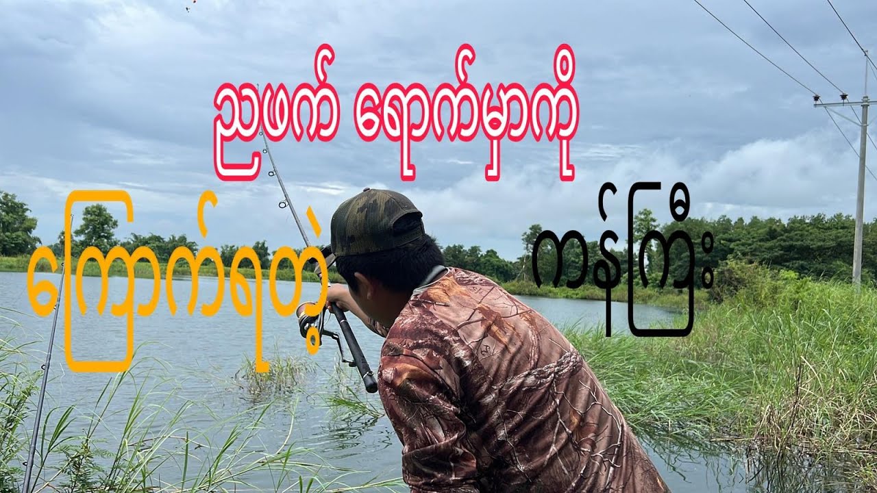 Catfish Fishing