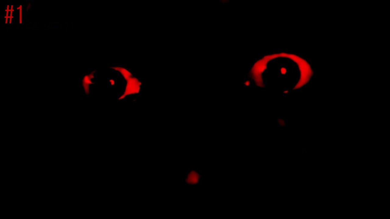 EAS Scenario #1: DO NOT MAKE EYE CONTACT