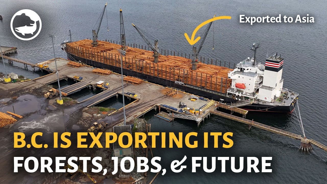 Exposing British Columbia's Lumber Business