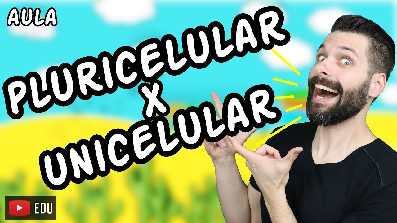 Organismos Unicelulares e Pluricelulares (Multicelulares) | Biologia com Samuel Cunha