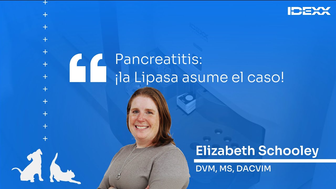 🇪🇸🔵 PANCREATITIS: ¡la Lipasa asume el caso! 🎙️ IDEXX Talks | Lipasa Pancreática #1