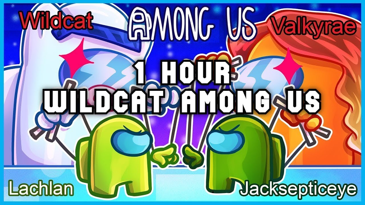 Wildcat Among Us Compilation #6 - 1 Hour - VanossGaming Compilation (No Sponsors and End Cards)