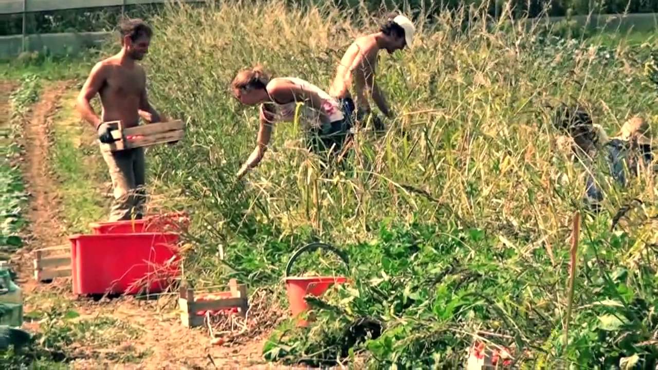 La Città della Luce - Video Documentario 2012 (sottotitoli)