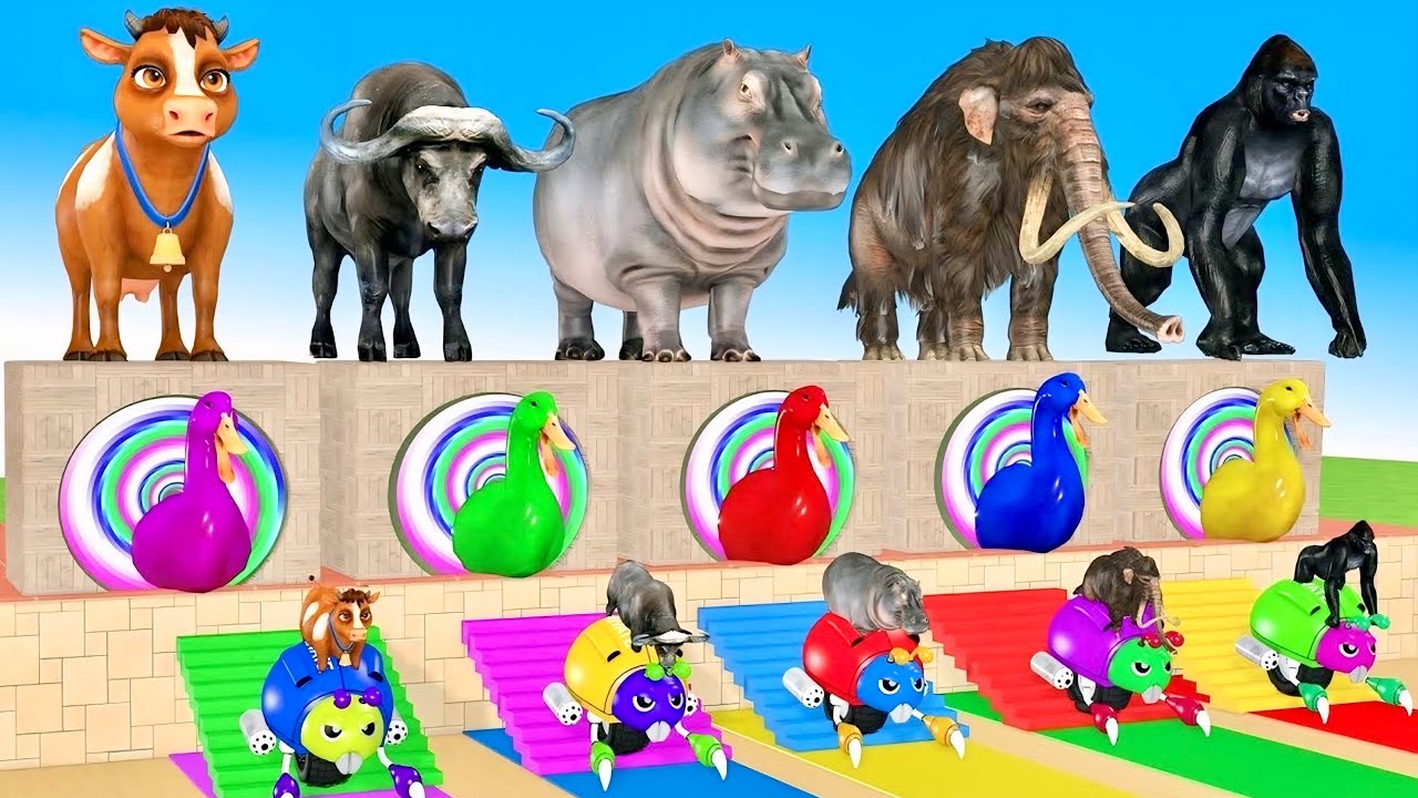 Long Slide Game With Cow Elephant Gorilla Hippopotamus Tiger - 3d Animal Game - Funny 3d Animals