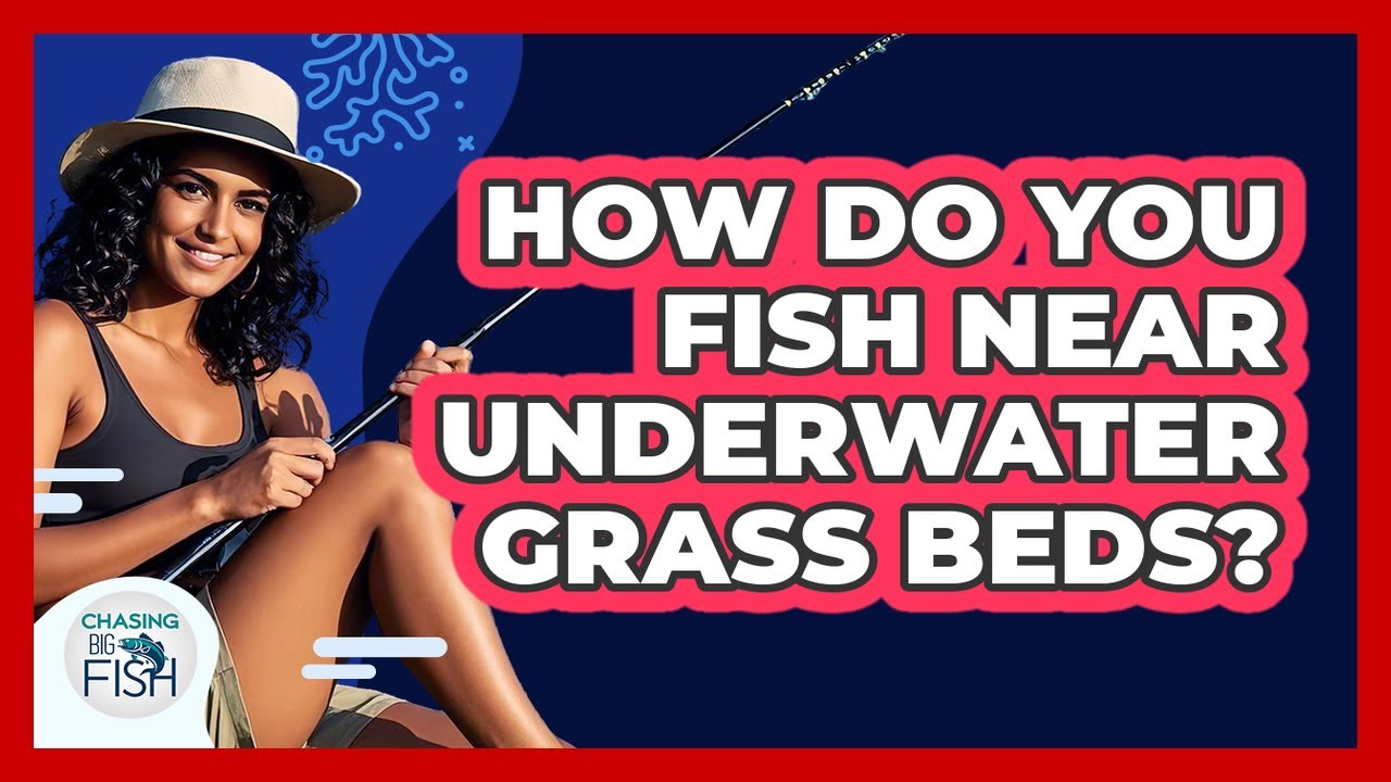 How Do You Fish Near Underwater Grass Beds?