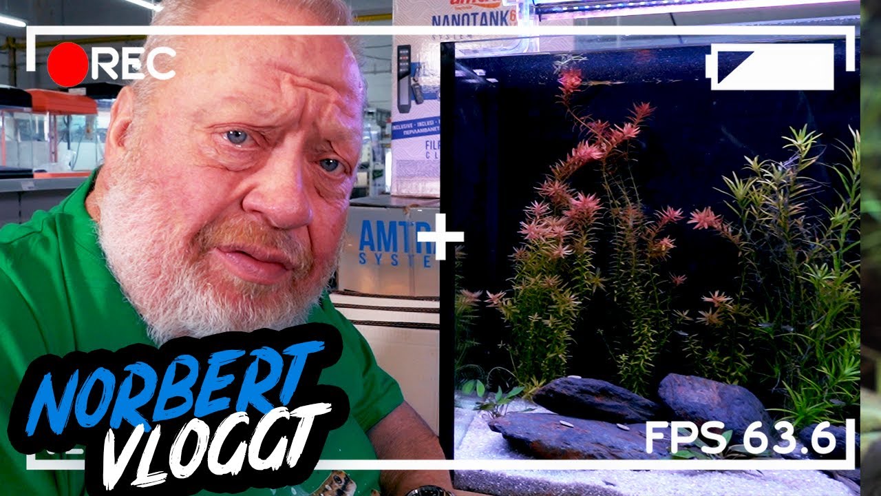 Norberts WIEDERENTDECKUNG im Urwald – Die NEONGRUNDEL | NORBERT VLOGGT | ZOO ZAJAC