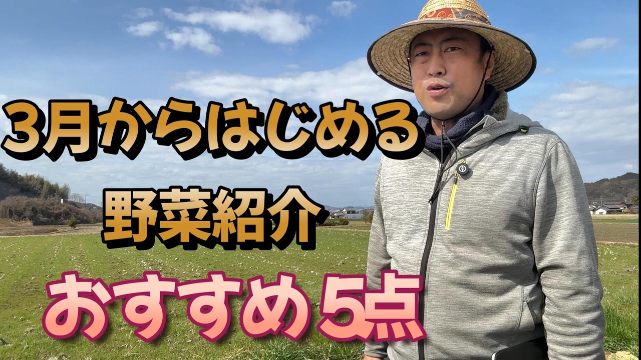 野菜農家おすすめ　3月種まき野菜ベスト５！この時期虫も少ないので早めに種まきして収穫しちゃいましょう