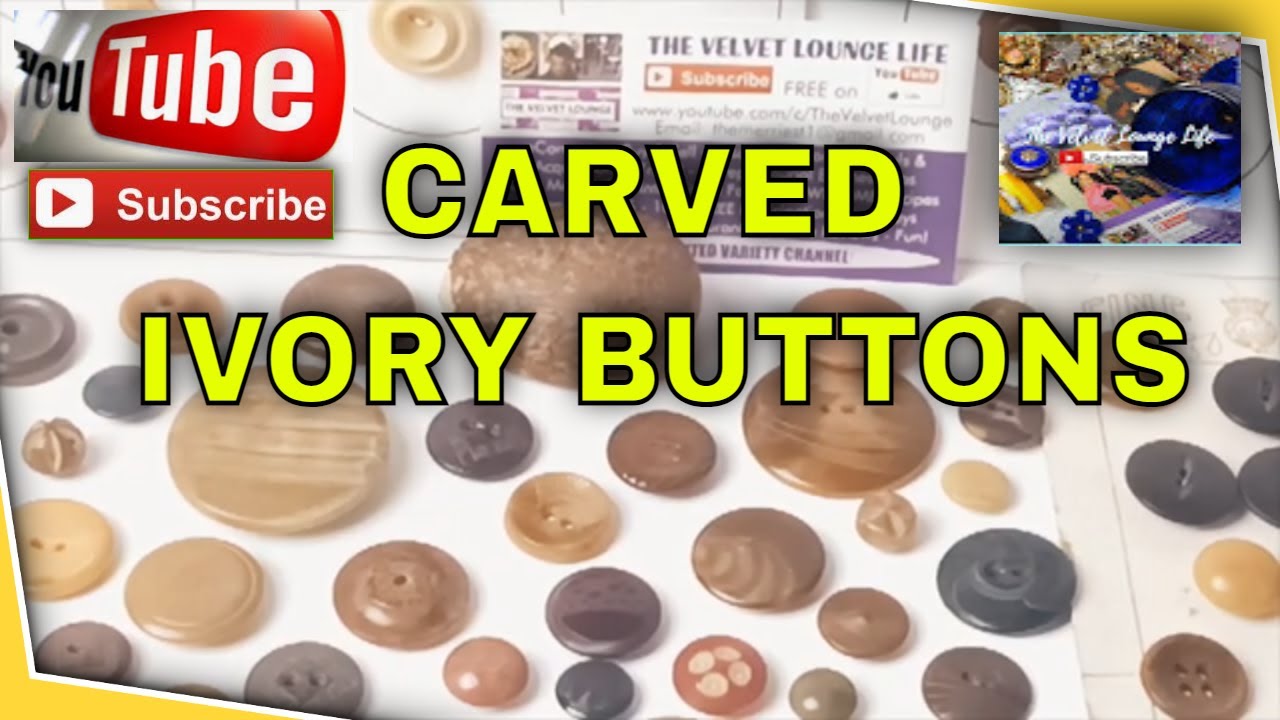 Antique Button Collection Ivory Tagua Nut Vegetable Save the Elephant @TheVelvetLoungeLife