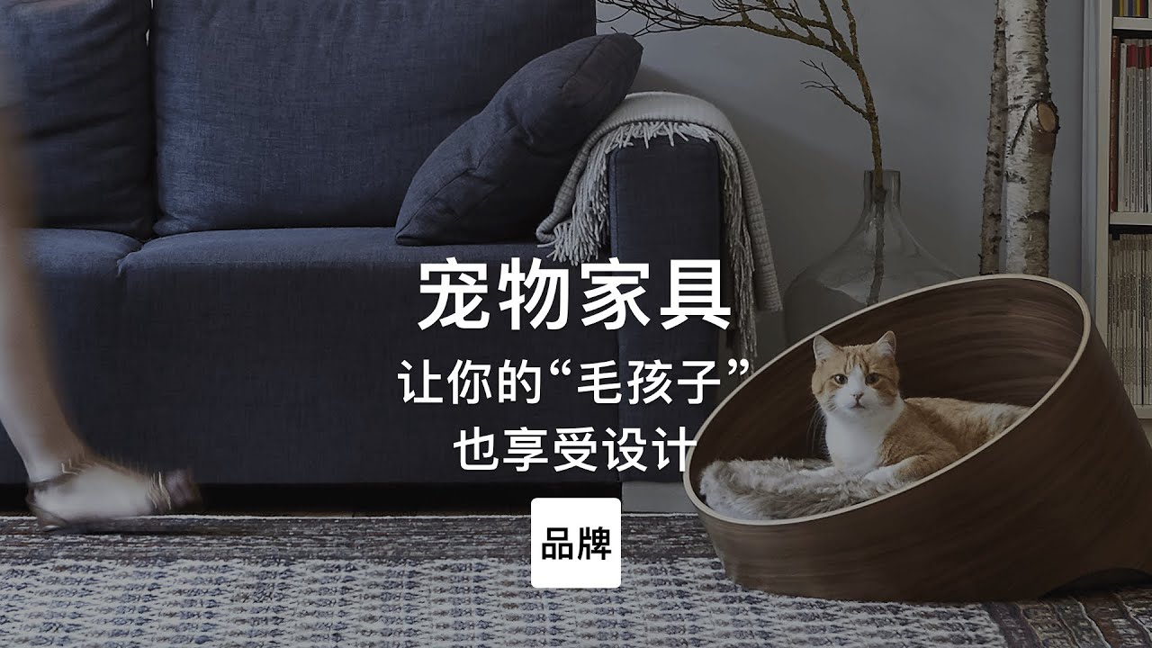 第92集｜让你的“毛孩子”也享受设计 宠物家具
