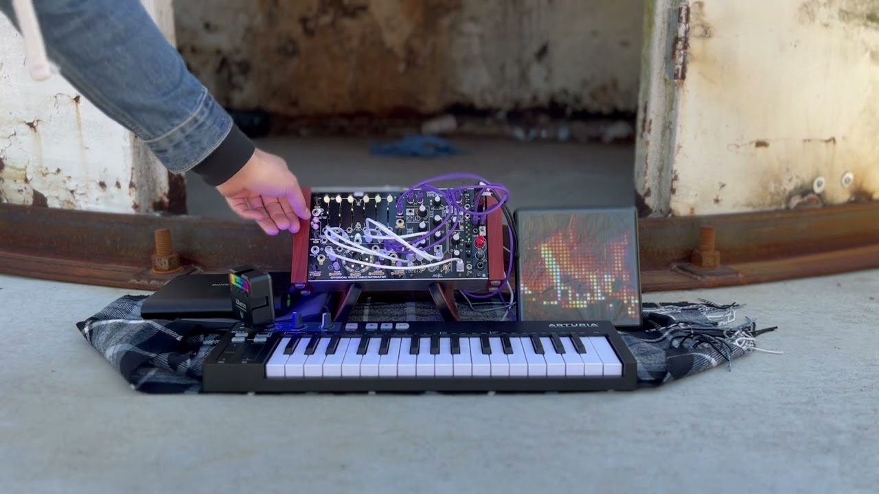 4MS SWN and Make Noise Mimeophon