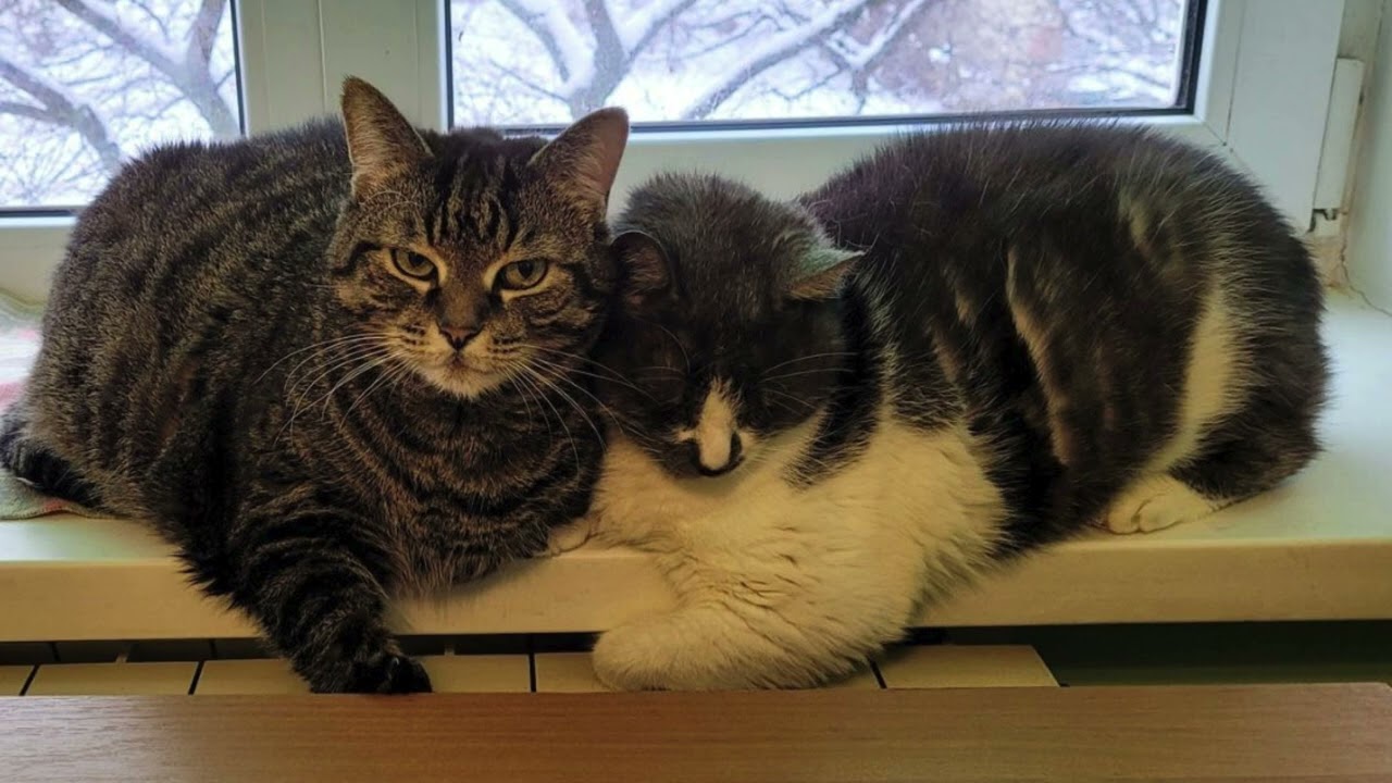 Between Winter and Warmth