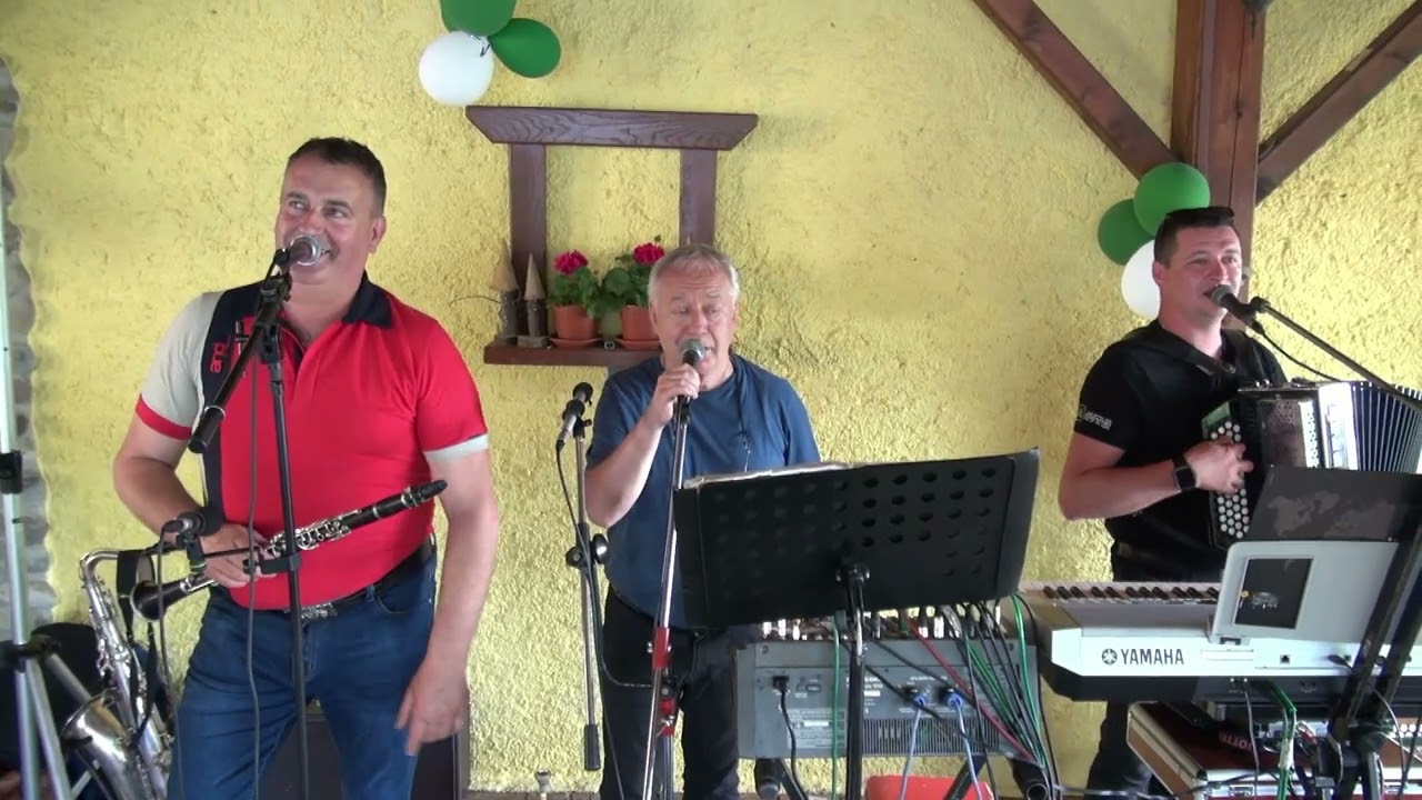 Ansambel Odmev - Nekje pri Brežicah ... (v živo)