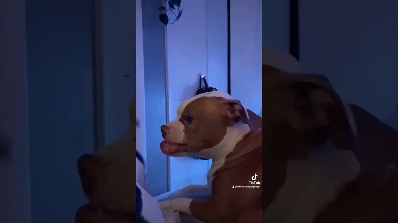 The Grinch Face.          