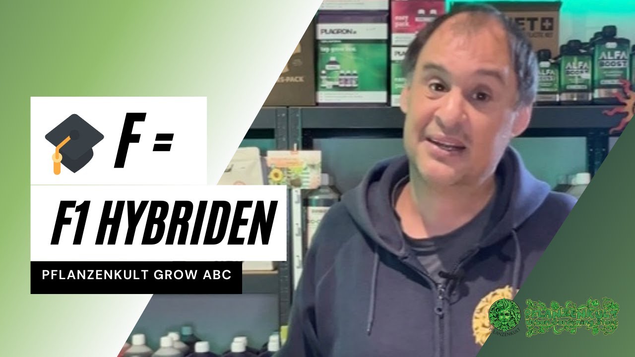 F = F1 Hybriden 🏎️💨 | grow-abc | erfahre alles pber die Pflanzboliden