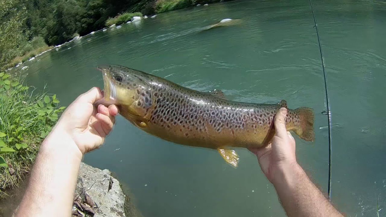 Pesca a spinning in Trentino - Fiume Noce - Fiume Sarca - Lago dei caprioli