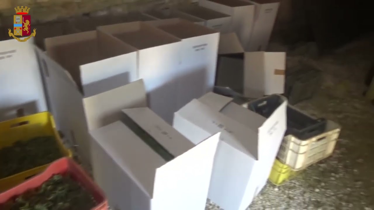 Ruvo di Puglia, sequestrata centrale della droga con 900 kg di marijuana: due arresti