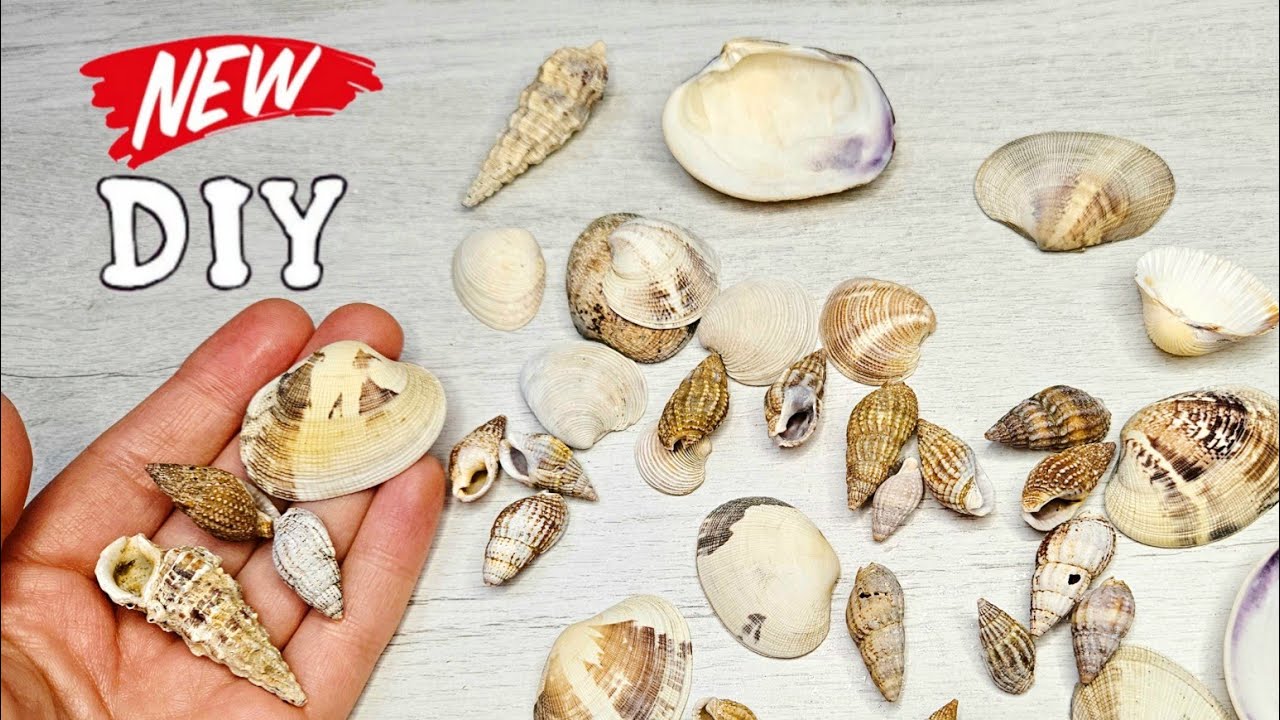 Unbelievable! 😍 You'll be amazed at what you can do with ordinary seashells!